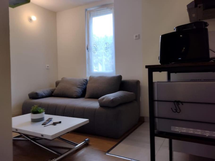 Apartment Le Reposant - Parking Box -24 H - Classic-gp-oasis - Antares - Parc Des Expositions *